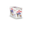 PATEE CHAT ROYAL CANIN STERILISED GELEE 12X85G