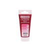 COLORANT HAUTE CONCENTRATION FRAMBOISE 50ML