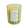 VERRE SATINE ANTI MOUSTIQUE CITRONNELLE 83X70MM
