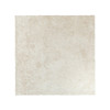 CARRELAGE SOL ET MUR EXTERIEUR MONASTERE 50X50 CM BEIGE 1,25M2