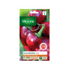 PIMENT BOMBER F1 SACHET SERIE 2 VILMORIN