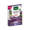 HARICOT MELISSA A COSSE VIOLETTE BOITE SERIE 20M VILMORIN