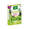 POIS GEANT FLEUR VIOLETTE BOITE SERIE 10M VILMORIN