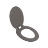 ABATTANT WC PURITY FREIN CHUTE DECLIPSABLE BOIS COMPRESSE TAUPE MAT