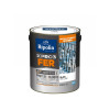 PEINTURE FER XPRO3 BRILLANT 2L BLANC