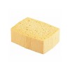 EPONGE VEGETALE 15.2X12.3CM MULIT-USAGE VISCOSE