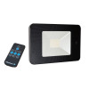 PROJECTEUR EXTERIEUR LED DETECTION 30W NOIR
