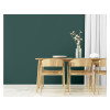TESTEUR PEINT INT SATINE MUR BOISERIE RADIAT RIPOLIN VERT ARMERIE 75ML