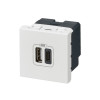 PRISE DOUBLE USB A+C 2 MODULE MOSAIC BLANC
