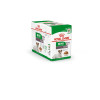 PATEE CHIEN ROYAL CANIN MINI AGEING12+ 12X85G