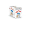 PATEE CHIEN ROYAL CANIN LIGHT WEIGHT CARE MOUSSE 12X85G