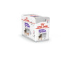PATEE CHIEN ROYAL CANIN CCN STERILISED MOUSSE 12X85G