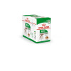 PATEE CHIEN ROYAL CANIN MINI ADULT 12X85G