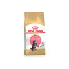 CROQUETTE CHAT ROYAL CANIN MAINE COON KITTEN 2KG