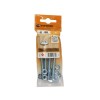BOULON POELIER TETE FENDUE AZ B18 STANDERS 6X80 X4