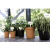 POT PLASTIQUE NOIR DIAMETRE 19