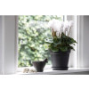 POT PLASTIQUE NOIR DIAMETRE 11