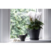 SOUCOUPE PLASTIQUE NOIR DIAMETRE 10