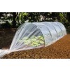 FILM FORCAGE POTAGER GEOLIA 2X5M