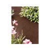 FEUTRE PAILLAGE NON TISSEE GEOLIA 1.6X10M