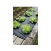 FILM PAILLAGE POTAGER GEOLIA 1,40X10M