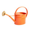 ARROSOIR AC GALVA OV 1,75L ROU