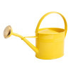 ARROSOIR AC GALVA OV 1,75L JAU
