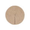 DISQUE PAILLAGE DIAMETRE 30CM 700G/M LOT 2