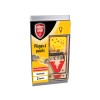 TAPETTE ANTI SOURIS BOIS PROTECT EXPERT LOT DE 2