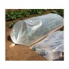 FILM FORCAGE POTAGER 2X5M GEOL