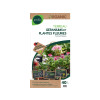 TERREAU GERANIUM GEOLIA 40 LITRES