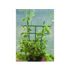 TUTEUR ECHELLE EMBOITABLE 50CM