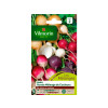 RADIS RONDS MELANGE DE COULEURS 2G