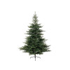 SAPIN GRANDIS HAUTEUR 210CM AVEC 2326 BRANCHES DIAMETRE MAXIMUM 150CM