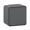 INTERRUPTEUR VV SAILLIE IP55 ETAN MUREVA STYL SCHNEIDER ELECTRIC GRIS