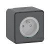PRISE SAILLIE IP55 ETANCHE MUREVA STYL SCHNEIDER ELECTRIC GRIS LOT DE2