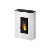 POELE A PELLE FREEPOINT TATRIUM 5 AT BLANC 5.2 KW