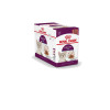 PATEE CHAT ROYAL CANIN SENSORY FEEL SAUCE 12X85G