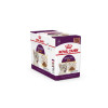 PATEE CHAT ROYAL CANIN SENSORY MULTI PACK SAUCE 12X85G