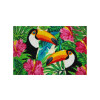 TAPIS TOUCANS 40X60 COCO BLANCHI COLORIS ASSORTIS