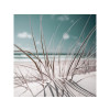 TOILE 30X30 BRINDILLE HERBE