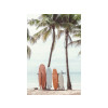 TOILE 30X45 SURFS  PALMIERS