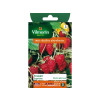 FRAISIER DES 4 SAISONS SUPREME SACHET SERIE 2 VILMORIN
