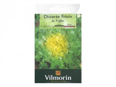 CHICOREE FRISEE DE RUFFEC SACHET SERIE 1 VILMORIN