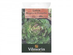 LAITUE D HIVER ROUGETTE DE MONTPELLIER SACHET SERIE 2 VILMORIN