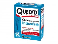 COLLE POUDRE PAPIER PEINT INTISSE POUDRE 300G QUELYD