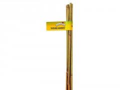 TUTEUR BAMBOU NATUREL HAUTEUR 0M60 DIAMETRE 06-08MM LOT 6