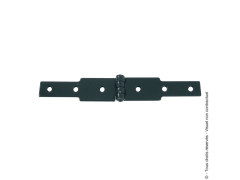 CHARNIERE CONGE 30X200 NOIR