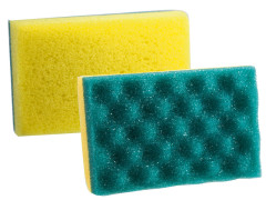 EPONGE AUTO BIFACE SOUPLE/GRATTANTE SPECIAL SALISSURE/INSECTE CARLINEA