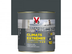 PEINTURE FER ANTHRACITE MAT CLIMATS EXTREMES 500ML
